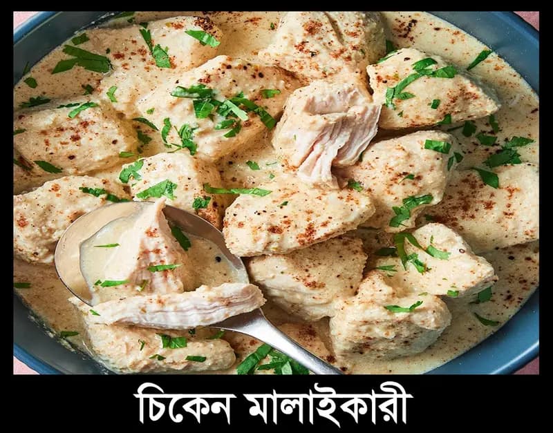 Chicken Malaikari